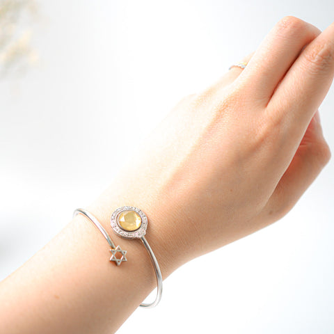 Meteorite Bangle Gold with Fidget Spin