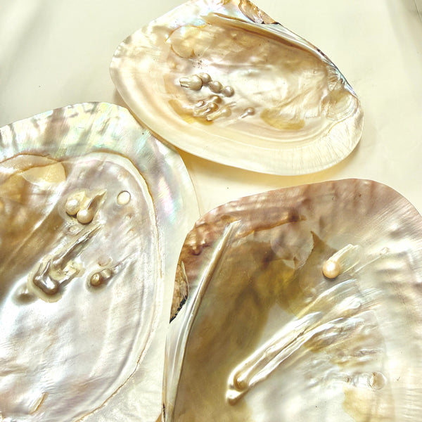 Pearl Shell