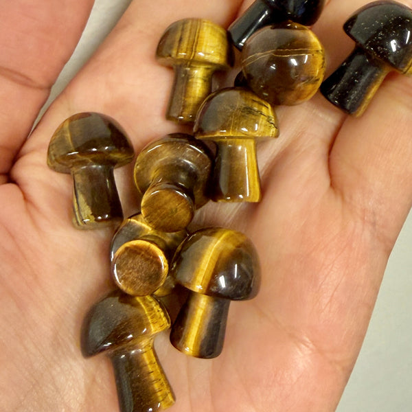 Tiger's Eye Mushroom