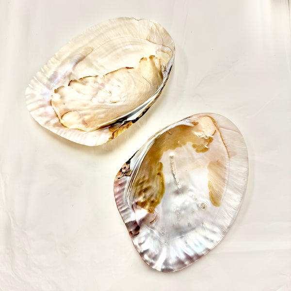 Pearl Shell