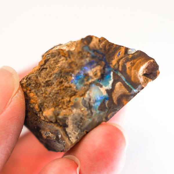 Boulder Opal Raw 258