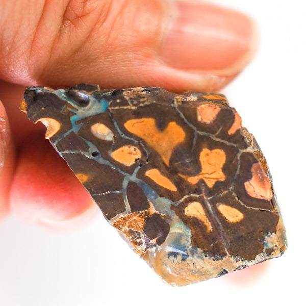 Boulder Opal Raw 258