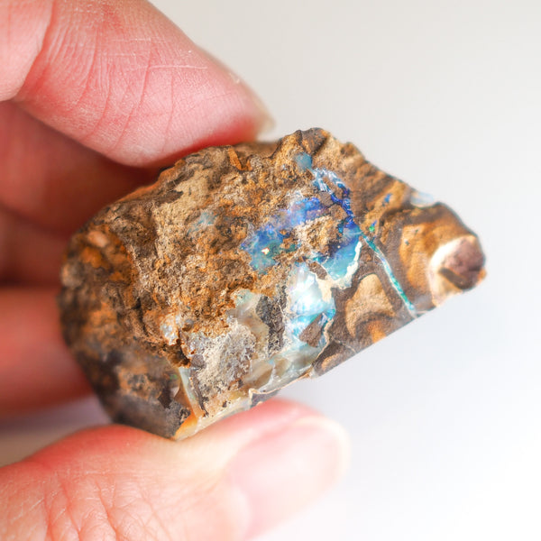 Boulder Opal Raw 258