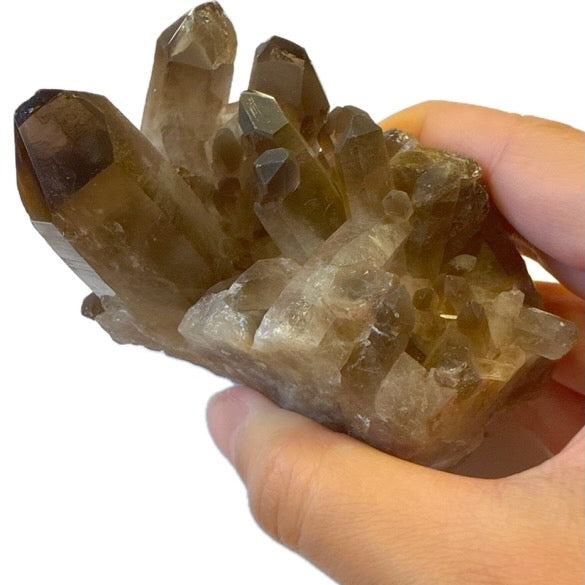 Smoky Quartz Cluster 144