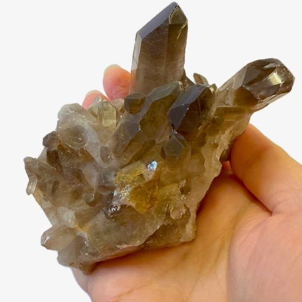 Smoky Quartz Cluster 144