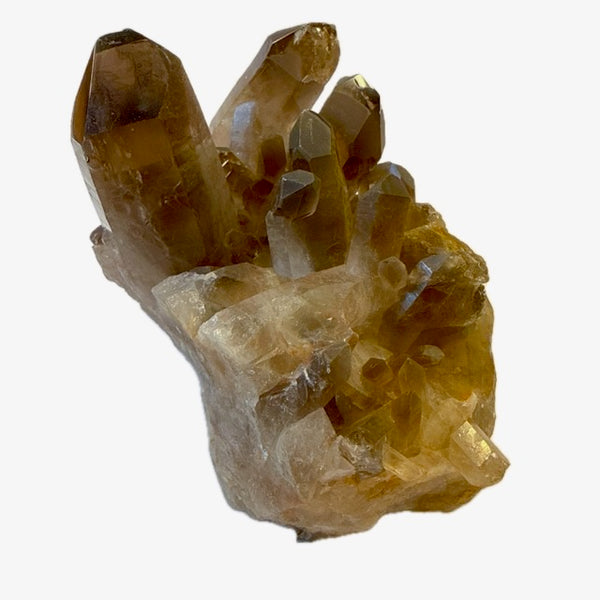 Smoky Quartz Cluster 144