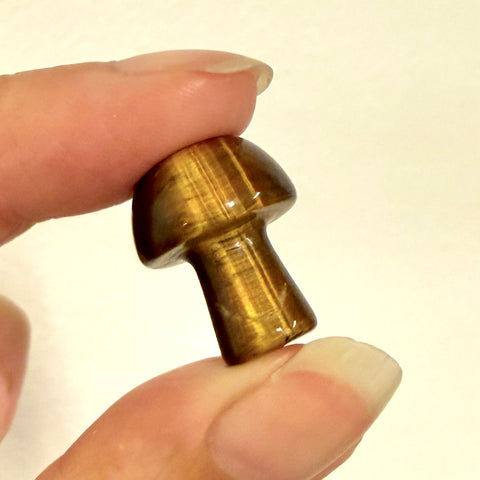 Tiger's Eye Mushroom