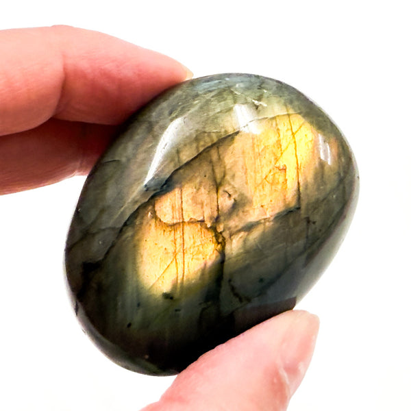 Labradorite Free Form (Gold)