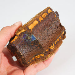 Boulder Opal Raw 286
